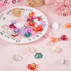 60шт 10 цвета непрозрачных акриловых колпачков для бусин&nbsp;OACR-TA0002-61