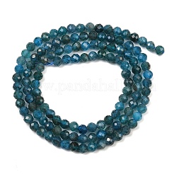 Природного апатита нитей бисера G-E411-36-3mm-02