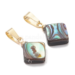 Abalone Muschel / Paua Muschel Anhänger&nbsp;PALLOY-JF05264