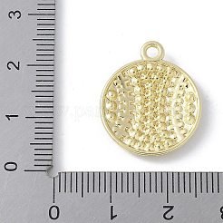 Подвески из эмали и сплава&nbsp;PALLOY-R153-01G-02