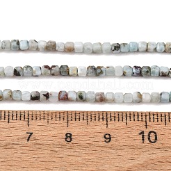 Abalorios naturales larimar hebras&nbsp;GG-CBAD288-A01-01