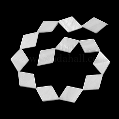 Нити бусин из натуральных пресноводных ракушек SHEL-A004-02