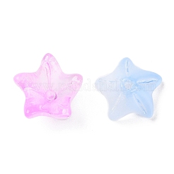 Стеклянные бусины из прозрачной краски для запекания GLAA-D011-02