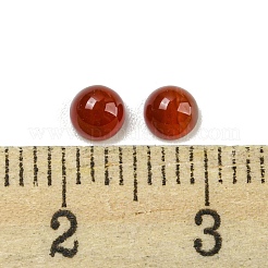 天然石赤瑪瑙カボション  染め  半円  4x2~2.5mm&nbsp;G-H309-03-43