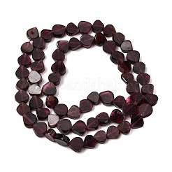 Natürlicher Granat Perlen Stränge&nbsp;G-NH0070-B01-01
