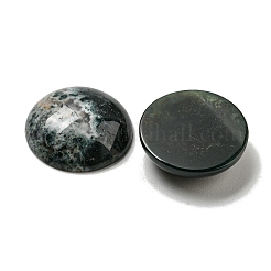Natur Moos Achat Cabochons&nbsp;G-C115-02A-46