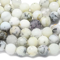 Натуральный белый опал африканские бусы пряди&nbsp;G-B165-A12-8mm