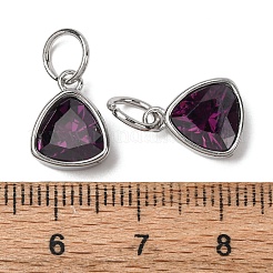 304ステンレススチールキュービックジルコニアペンダント  三角形  ステンレス鋼色  プラム  12.5x9.5x5mm  穴：5mm&nbsp;ZIRC-P080-B01