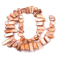 Naturali di acqua dolce perline shell fili&nbsp;SHEL-N026-123D