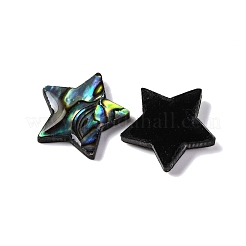 Кабошоны из натуральной эпоксидной смолы из ракушки пауа SSHEL-S279-01F