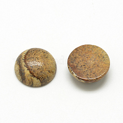 Cabochon di diaspro dell'immagine naturale&nbsp;G-R416-20mm-42