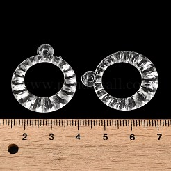 Прозрачные акриловые подвески&nbsp;TACR-G048-19