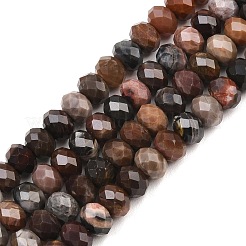 Natürliche versteinerte Holzperlen Stränge&nbsp;G-C259-A28-5x8mm