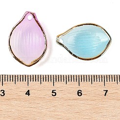 Прозрачные акриловые подвески градиентного цвета TACR-F009-09