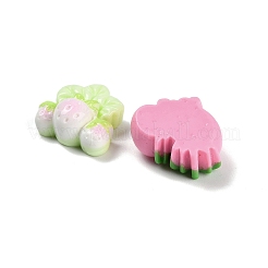 Непрозрачная смола декодирует кабошоны RESI-I338-06