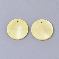 Спрей окрашены подвески пресноводных оболочки&nbsp;LS-SHEL-S276-40D