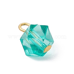 Прозрачный акрил с железными подвесками&nbsp;PALLOY-JF03680-01