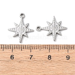 Pendentifs en acier inoxydable 304&nbsp;LS-STAS-Z177-06P