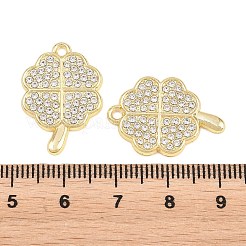 Aluminium Anhänger & Charms&nbsp;FIND-C095-10G