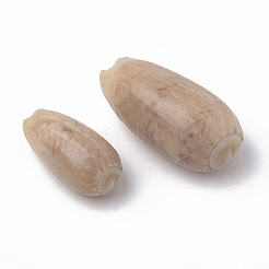 Perle di conchiglia a spirale&nbsp;LS-SSHEL-S258-08