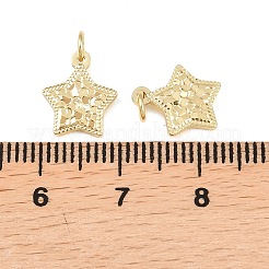 Латунь подвески&nbsp;KK-Z146-09G-G