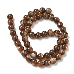 Natürliche Trochusmuschelperlenstränge&nbsp;SH-CBAFEDD-02B
