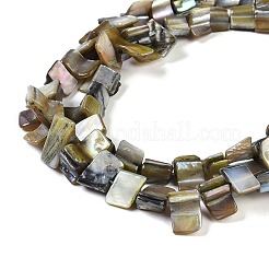 Окрашенные нити бусин из натуральных пресноводных ракушек SHEL-P016-01H