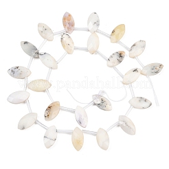 Натуральный белый опал африканские бусы пряди&nbsp;G-P607-A02-01