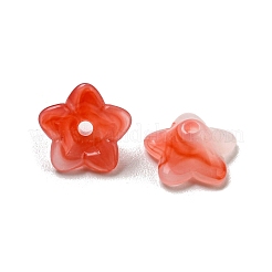 Cabochons en acrylique opaque bicolore&nbsp;OACR-G034-07E