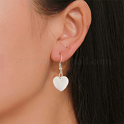 Природные подвески оболочки пресноводных SHEL-CJ0001-03