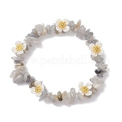 Braccialetti elastici con perline di labradorite naturale per donna&nbsp;BJEW-JB12315-03