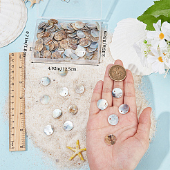 140 шт. подвески из окрашенной натуральной ракушки акойя&nbsp;BSHE-BBC0001-07C