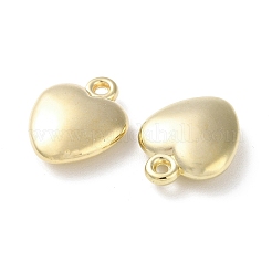 Пластмассовые подвески ccb CCB-C001-09E-G