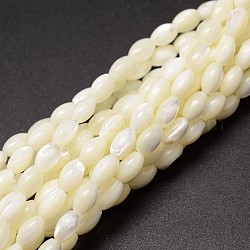 Fili di perle di conchiglia trochid naturale / trochus, ovale, bianco crema, 6~7x4~5mm, Foro: 0.8 mm, circa 60pcs/filo, 15.75 pollice