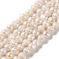 Fili di perle di perle d'acqua dolce coltivate naturali, patata, grado ab, papayawhip, 8~9x7~8mm, Foro: 0.8 mm, circa 43pcs/filo, 12.87'' (32.7 cm)