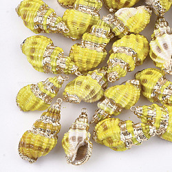 Pendentifs coquille en spirale peints par pulvérisation et plaqués, avec les accessoires en fer, or clair, jaune, 31~43x17~21x15~19mm, Trou: 1.5mm
