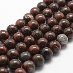 Brins bréchique jaspe de perles naturelles, ronde, 10mm, Trou: 1mm, Environ 37 pcs/chapelet, 14.9 pouce ~ 15.1 pouces