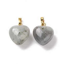 Natural Labradorite Pendants, with Golden Tone Brass Findings, Heart Charm, 18x15~15.5x6~8mm, Hole: 6x3mm