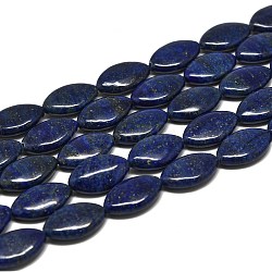 Chapelets de perles en lapis-lazuli naturel, oeil de cheval, 20x12~12.5x6mm, Trou: 1mm, Environ 20 pcs/chapelet, 15.16'' (38.5 cm)
