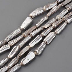 Spray Painted Natural Freshwater Shell Beads Strands, Shell Shards, Nugget Stick, Gainsboro, 15~20x5~13x3~10mm, Hole: 0.8mm, about 23pcs/strand, 15.35 inch~17.32 inch(39~44cm)