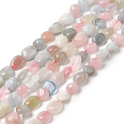 Chapelets de perles en morganite naturelle, pierre roulée, pépites, 10~11x7~8x5~6mm, Trou: 0.8mm, Environ 37 pcs/chapelet, 15.75 pouce (40 cm)