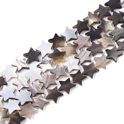 Fili di perline conchiglia nera naturale, stella, 10x10x2mm, Foro: 0.8 mm, circa 52pcs/filo, 15.75 pollice (40 cm)
