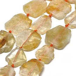 Chapelets de perles de citrine naturelle, perles de dalle plate, pépites, 29~42x25~34x6~8mm, Trou: 2mm, Environ 9~10 pcs/chapelet, 15.7 pouce (40 cm)