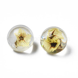 Translucent Acrylic Cabochons, with Dried Flower, Round, Yellow, 10x9mm