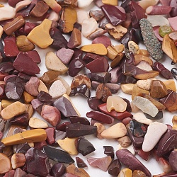 Perles de pierres de sang naturelles, perles de pierre d'héliotrope, pas de trous / non percés, puce, 4~12x3~6x1~4mm, environ 6280 pcs/500 g