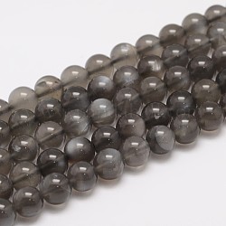 Naturali nera perle di pietra di luna fili, tondo, nero, 8mm, Foro: 1 mm, circa 49pcs/filo