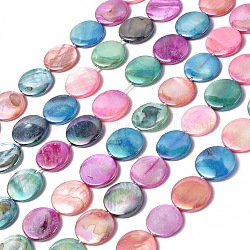 Eau douce naturelle de coquillage perles brins, teinte, de couleur plaquée ab , plat rond, colorées, 15x2~3mm, Trou: 1mm, Environ 25~26 pcs/chapelet, 14.57 pouce (37 cm)