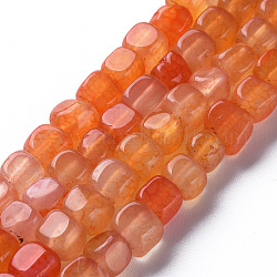 Chapelets de perles d'agate naturelle, teints et chauffée, cube, corail, 5~8x4~8x4~6mm, Trou: 1.2mm, Environ 50 pcs/chapelet, 14.76 pouce (37.5 cm)