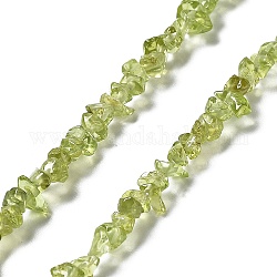 Natürlichen Peridot Perlen Stränge, Klasse A, Chip, 1~5x3~16x3~5 mm, Bohrung: 0.8~0.9 mm, 29.92~32.68'' (76~83 cm)