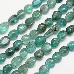 Natürliche Apatit Perlenstränge, getrommelt Stein, Nuggets, 6~12x6~13 mm, Bohrung: 1 mm, etwa 15.74 Zoll